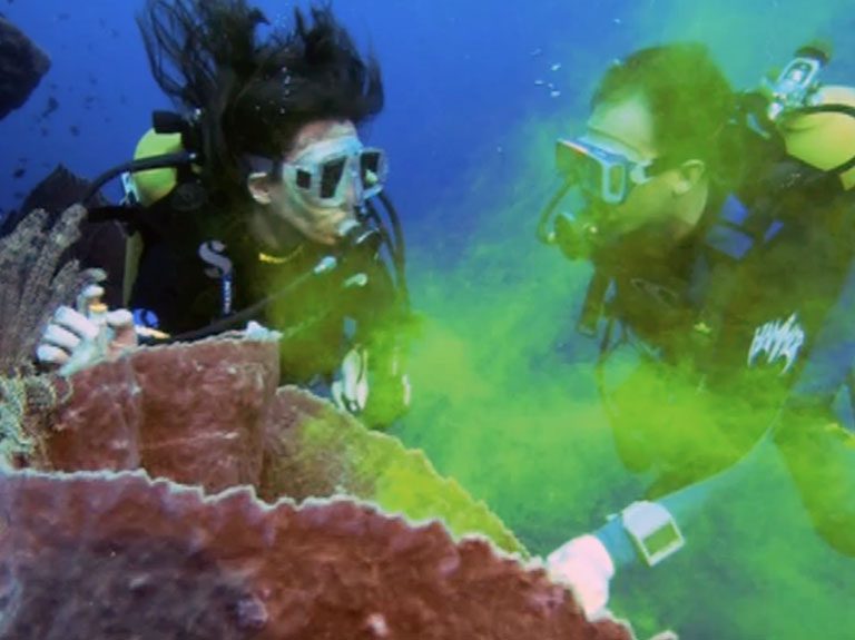 TMaDE-December-Learning-Resources-Sea-Studios-Foundation